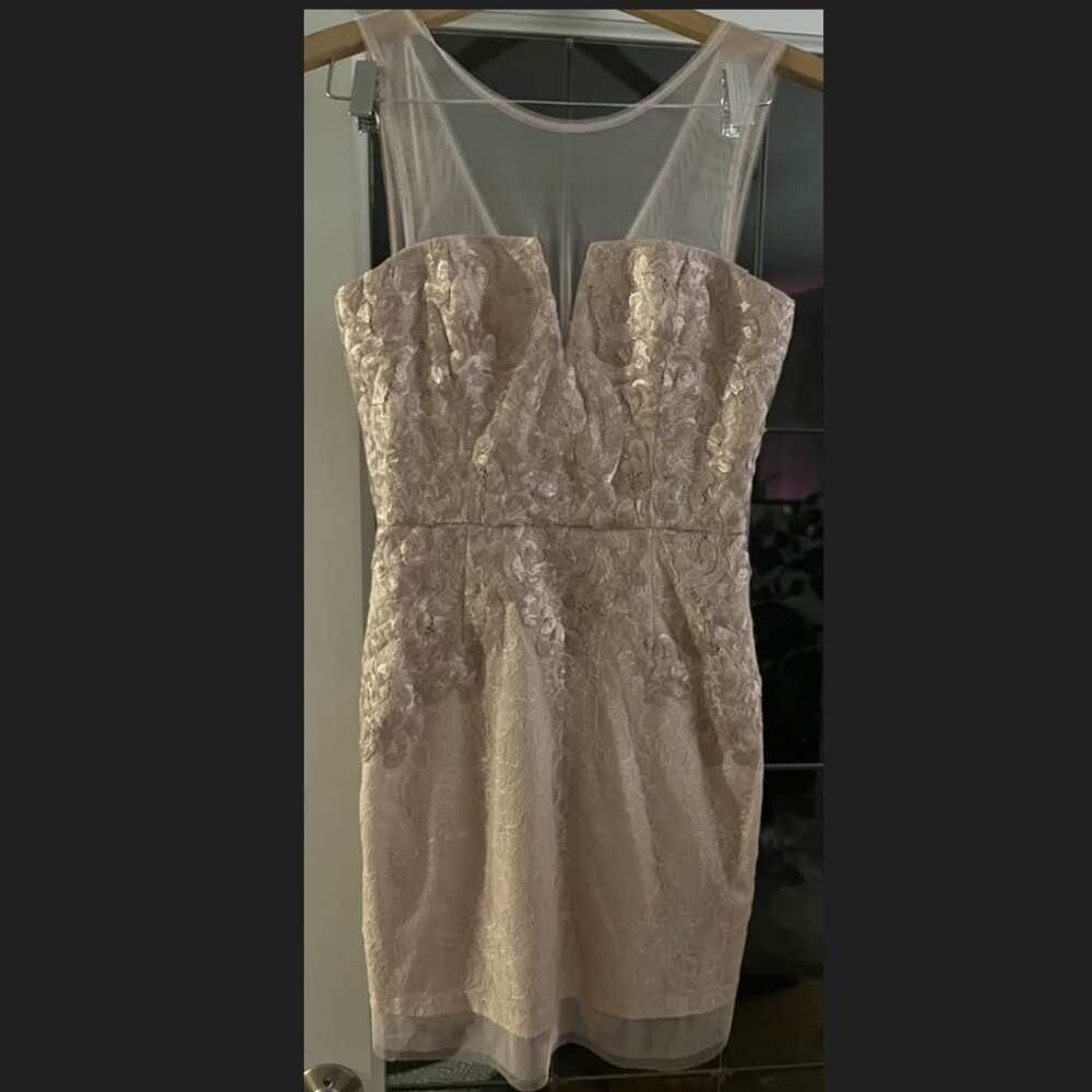 Pink BCBG Maxazria Sequin Beaded Dress